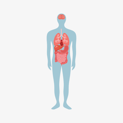 Systemic Reaction